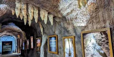 傳統藝術博物館