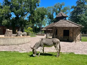 Jardin botanique de Tours