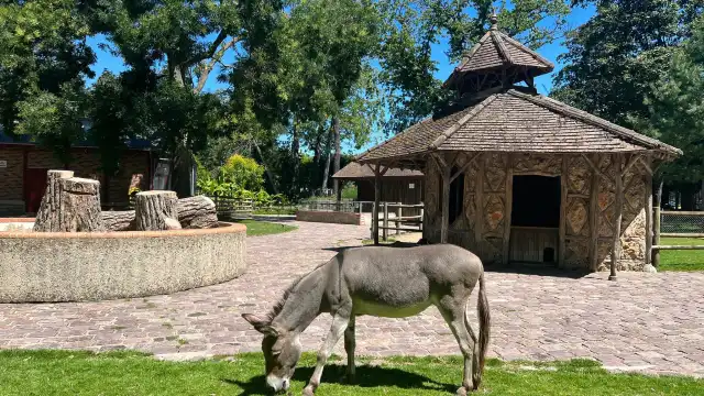 Hotels near Jardin botanique de Tours