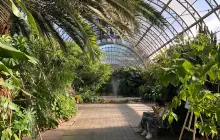 Оранжерея Таврического сада