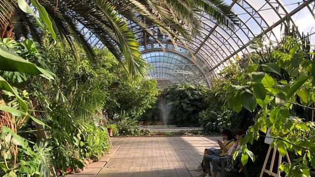 Greenhouse Tauride Gardens
