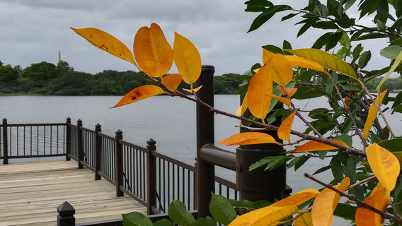 Beddagana Wetland Park