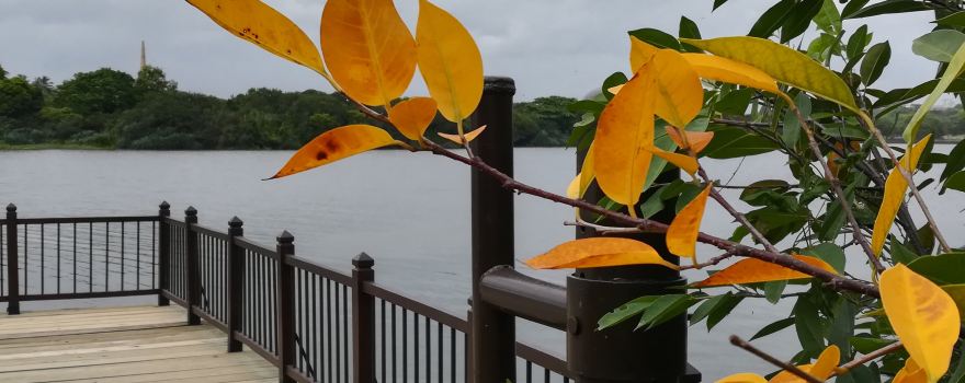 Beddagana Wetland Park