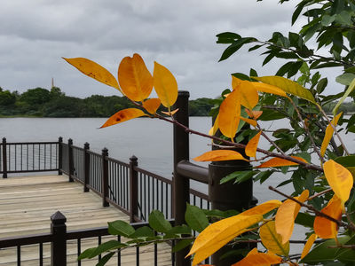 Beddagana Wetland Park