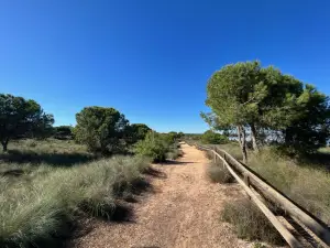 Parque Natural De Torrevieja