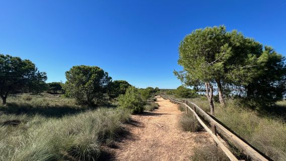 Parque Natural De Torrevieja