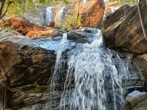 Ajodhya Hill and Forest Reserve Area