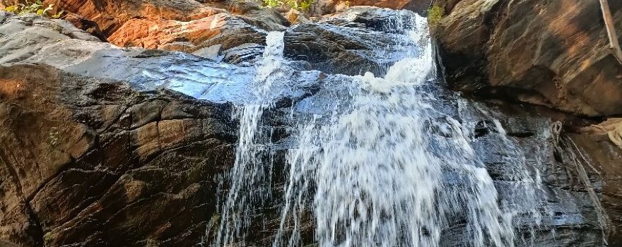 Ajodhya Hill and Forest Reserve Area