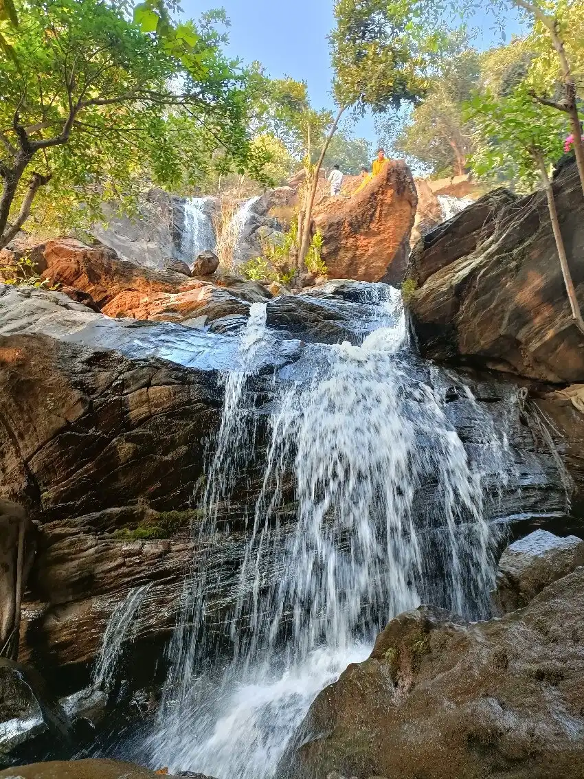 Hotels near Ajodhya Hill and Forest Reserve Area
