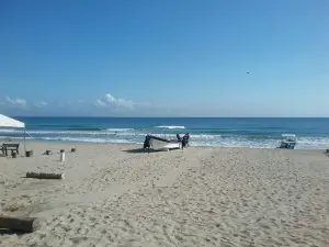 Tela Marine