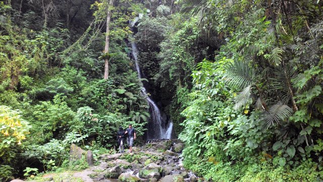 Cibodas Botanical Garden