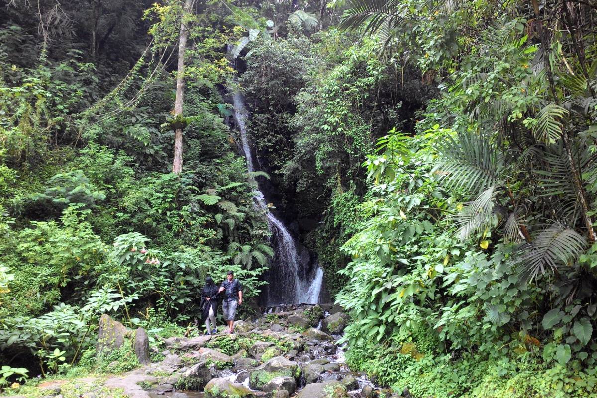 Cibodas