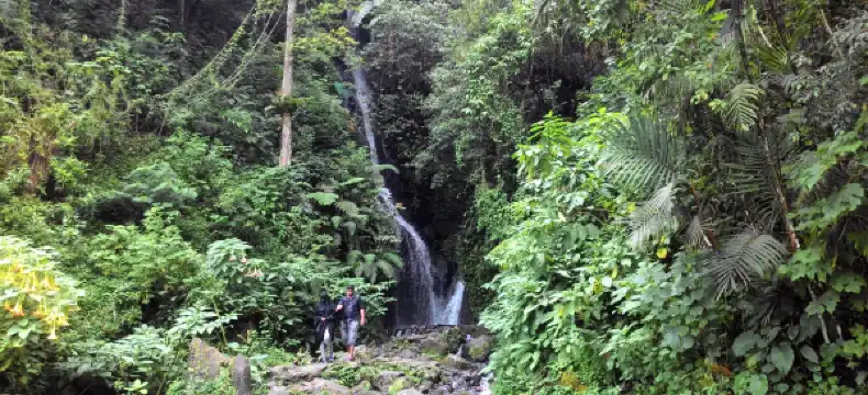 Hotels in Cipanas