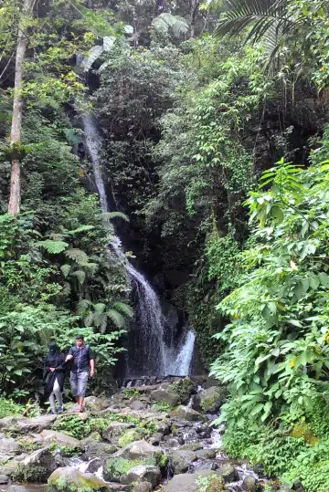 西帕納斯OYO酒店住宿