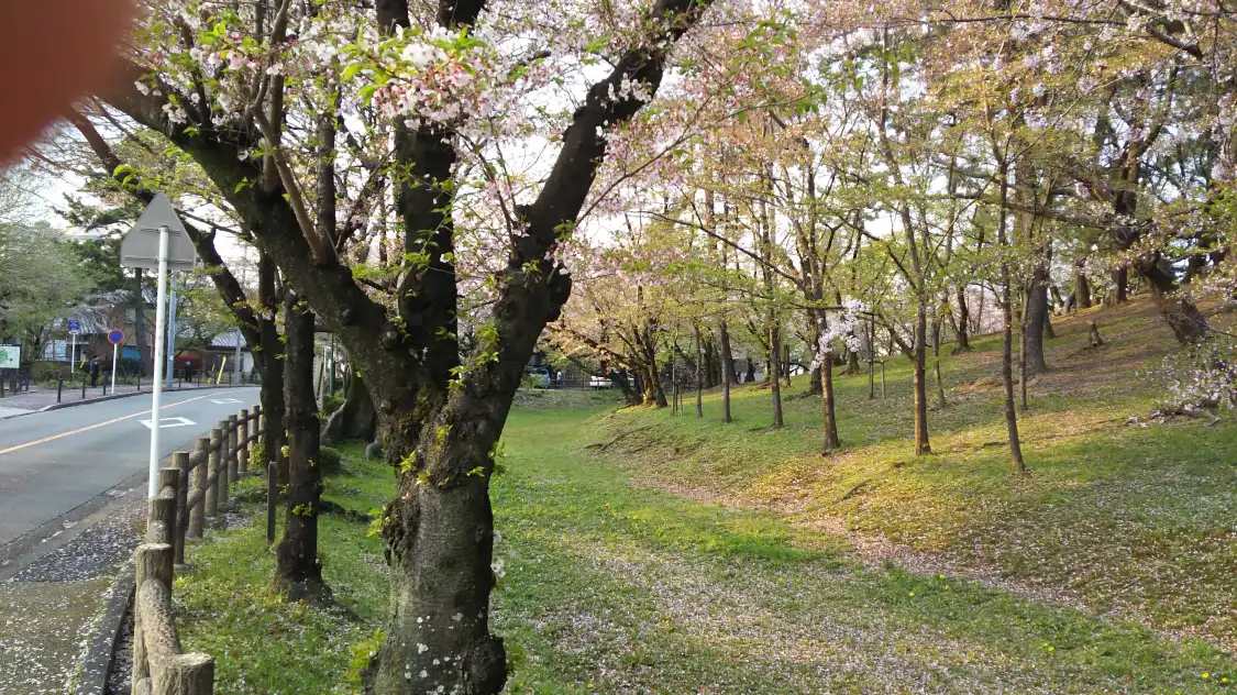 Отели рядом с достопримечательностью «Mt. Hachiman Tomb»