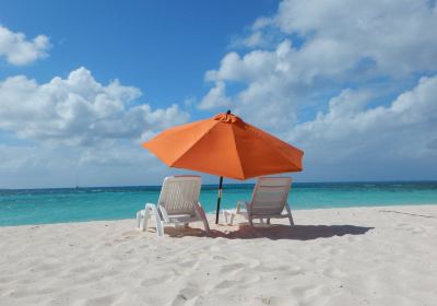 Sandy Island