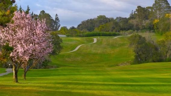 Healdsburg Golf Club at Tayman Park