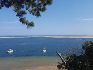 Monomoy National Wildlife Refuge