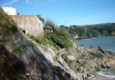 Dartmouth Castle