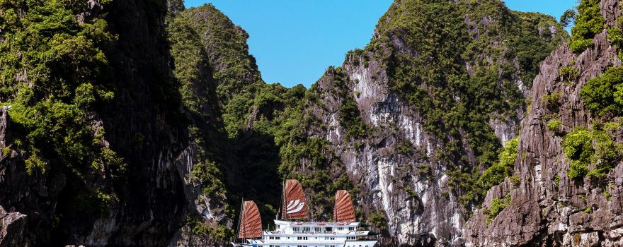 Bhaya Cruises