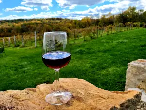 Fergedaboudit Vineyard & Winery