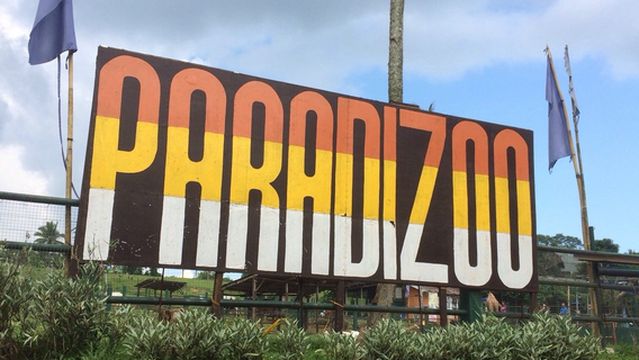 Paradizoo
