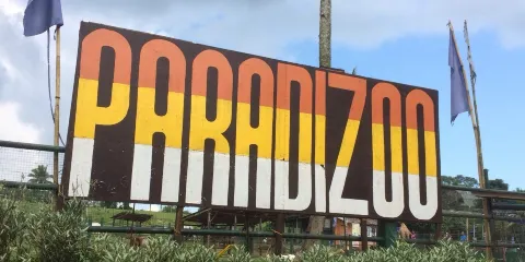 Paradizoo
