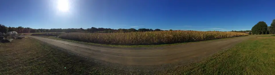4_Samascott Orchards
