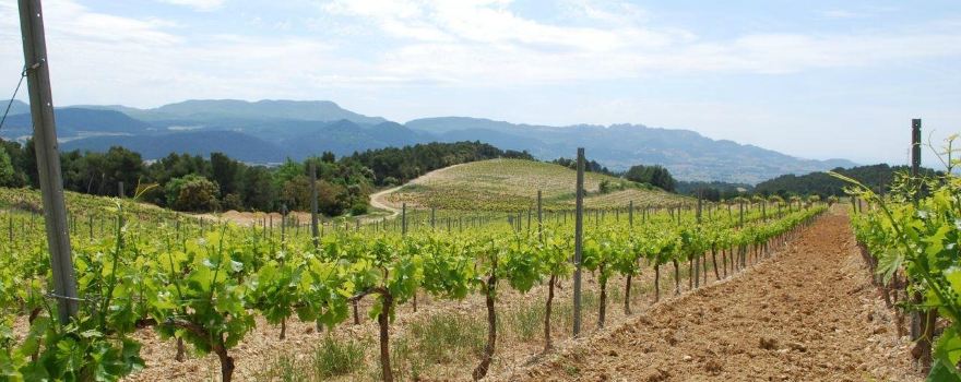 Domaine des Escaravailles