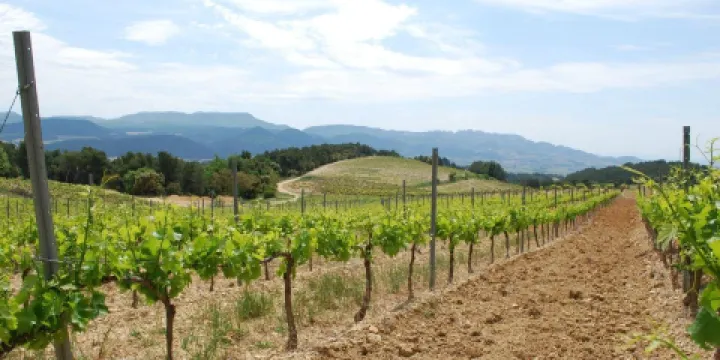 Domaine des Escaravailles