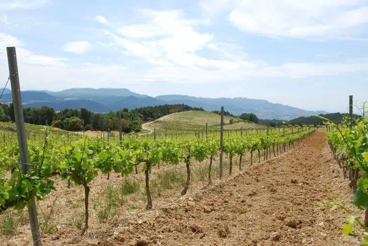 Hôtels à proximité de : Domaine des Coteaux des Travers