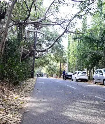 Hotels near Indian Institute Of Technology, Madras