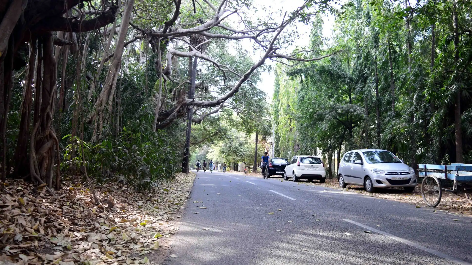 Indian Institute Of Technology, Madras周辺のホテル