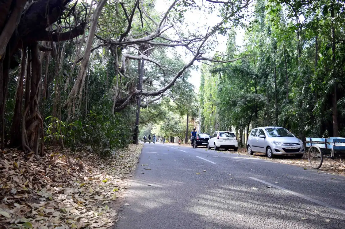 Hotels near Indian Institute Of Technology, Madras