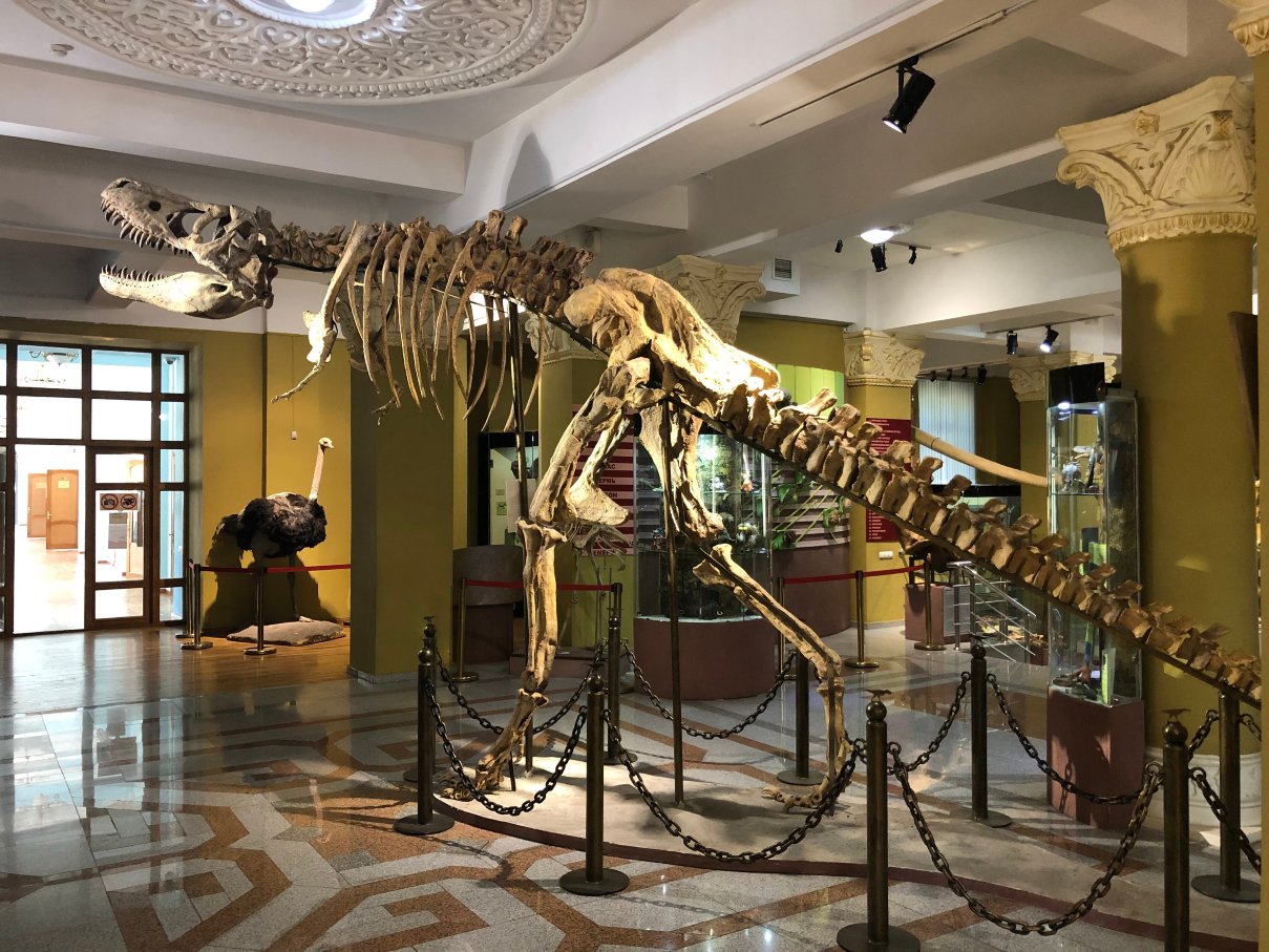 Museum of Archeology of RSE 