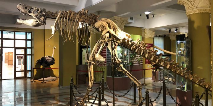 Museum of Archeology of RSE 