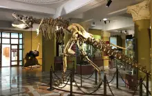 Музей археологии РГП "Ғылым ордасы"