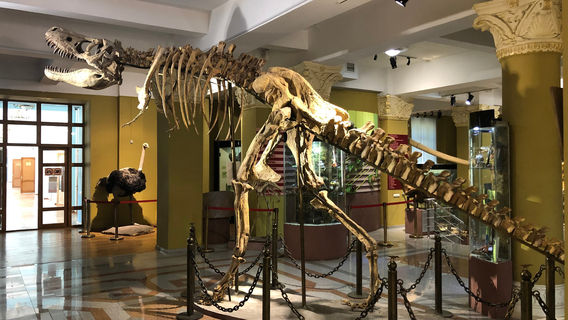 Museum of Archeology of RSE "Gylym Ordasy"