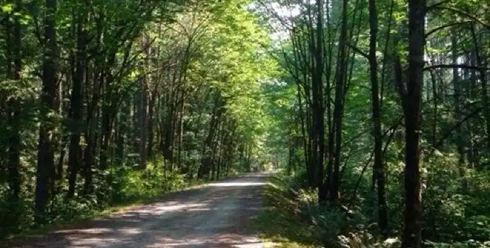 Hotels in Maple Valley