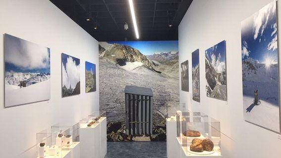 Museum d'histoire naturelle