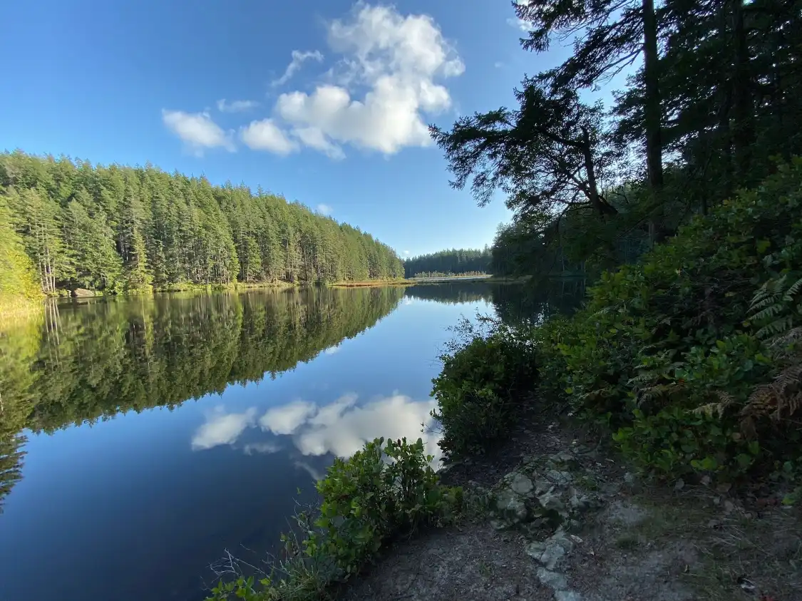 Các khách sạn gần Cranberry Lake