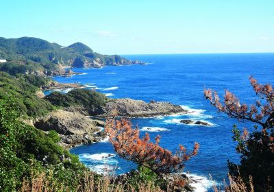 Tosashimizu