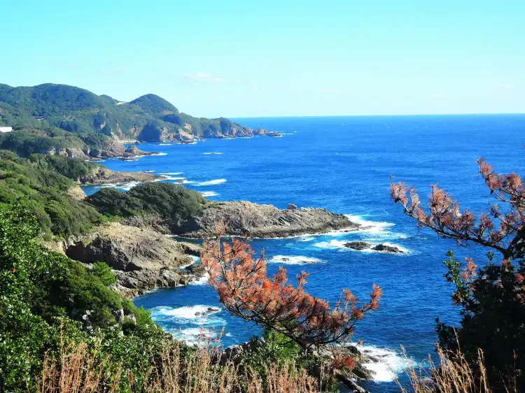 Hoteles en Tosashimizu