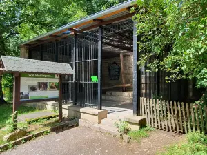 Alternativer Barenpark Worbis