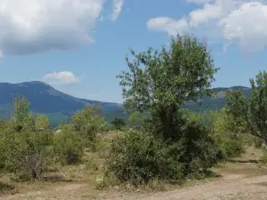 The Valley Of Ghosts