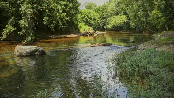 Banshee Reeks Nature Preserve