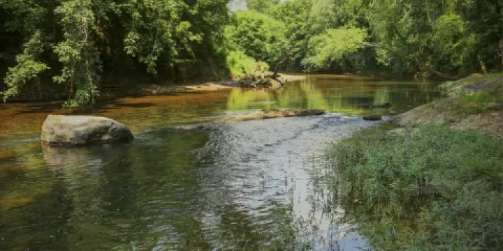 Banshee Reeks Nature Preserve