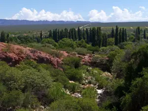 Sitio Arqueologico de Hualco