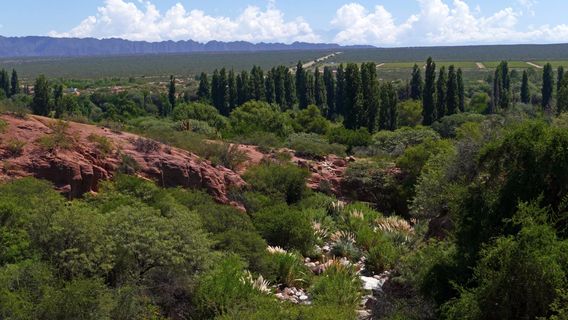 Sitio Arqueologico de Hualco