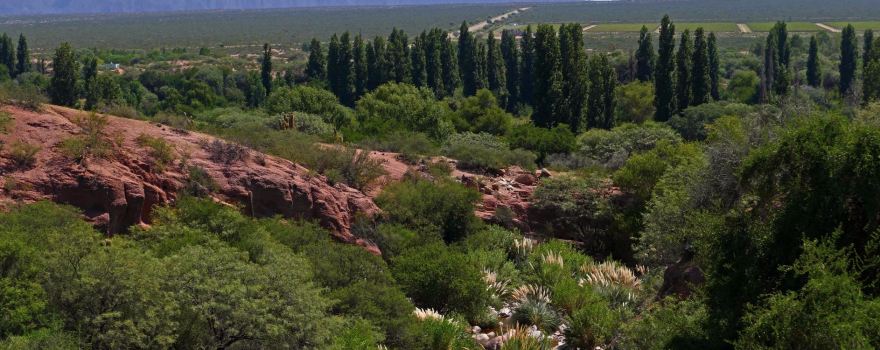 Sitio Arqueologico de Hualco